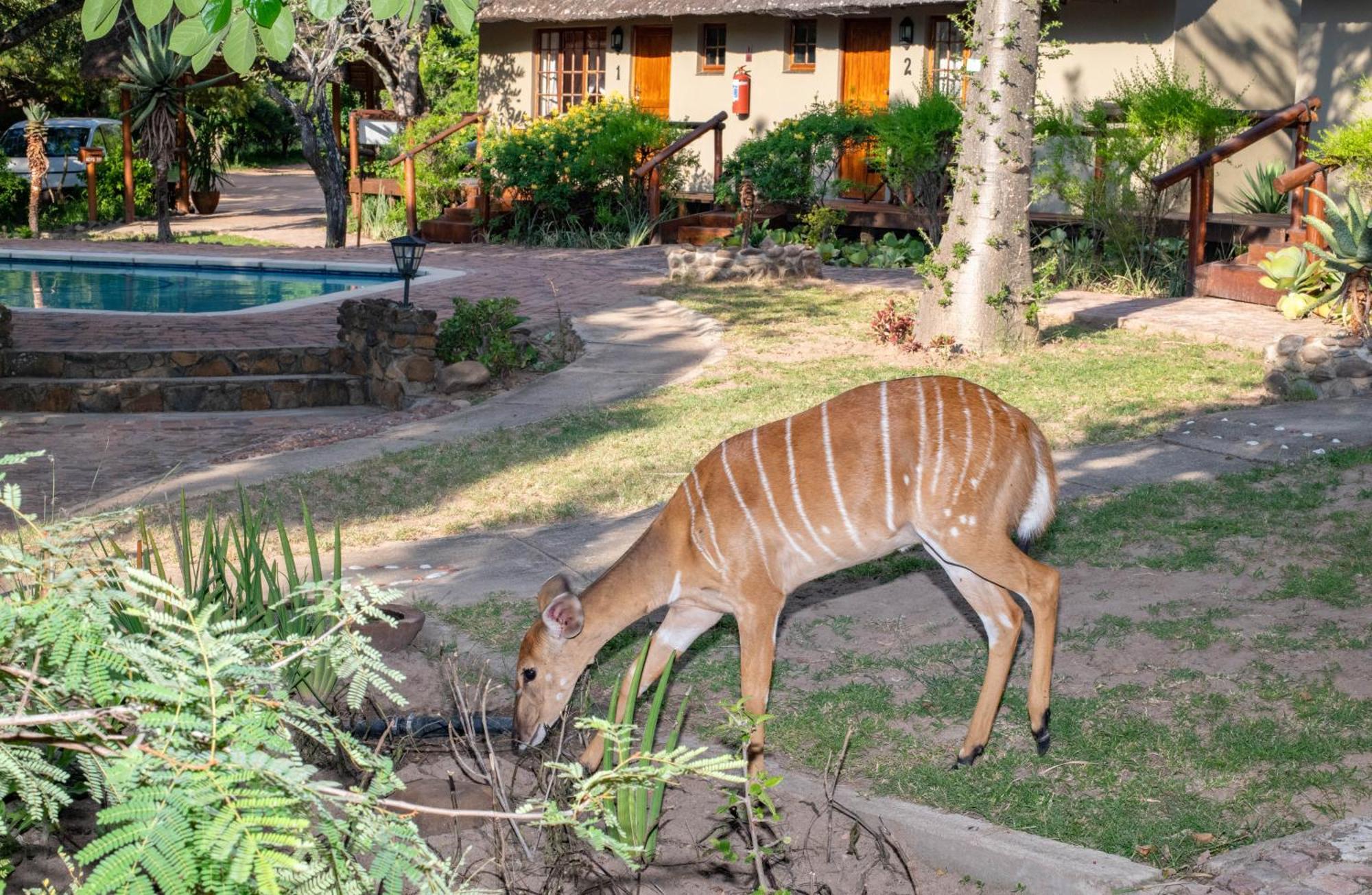Thornhill Safari Lodge Guernsey Nature Reserve Eksteriør billede